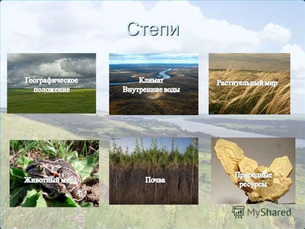 Богатства степной зоны. Ресурсы степи. Природные ресурсы степи. Ресурсы степи в России. Степи и лесостепи воды.