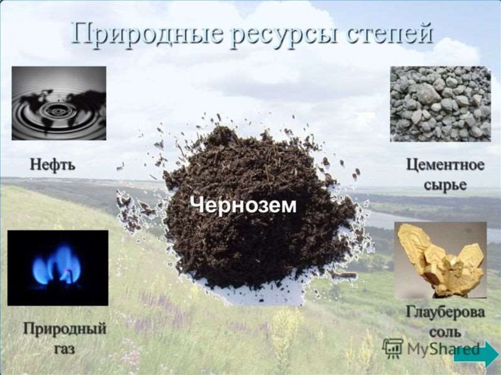 Природные ресурсы лесостепи и степи. Природные ресурсы степи. Полезные ископаемые степи. Природные ресурсы степи в России. Полезные ископаемые зоны степей.