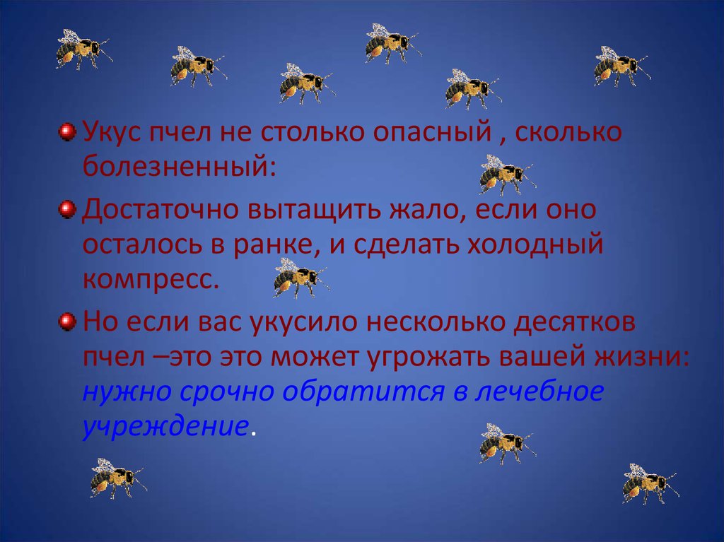 Правила безопасности при общении с животными 1 класс презентация