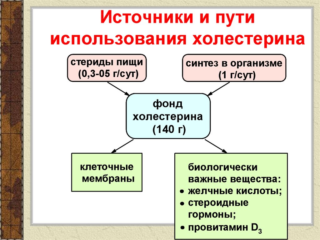 Путем применения. Пути использования холестерола. Перечислите пути использования холестерина в организме. Пути использования холестерола в организме схема. Пути использования холестерола в клетке.