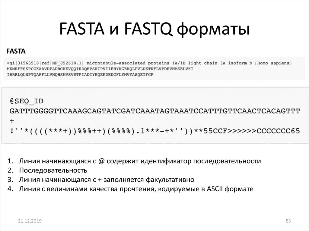 Формат фаста. Fasta и fastq. Fastq Формат. Описание fasta. Fasta examples.