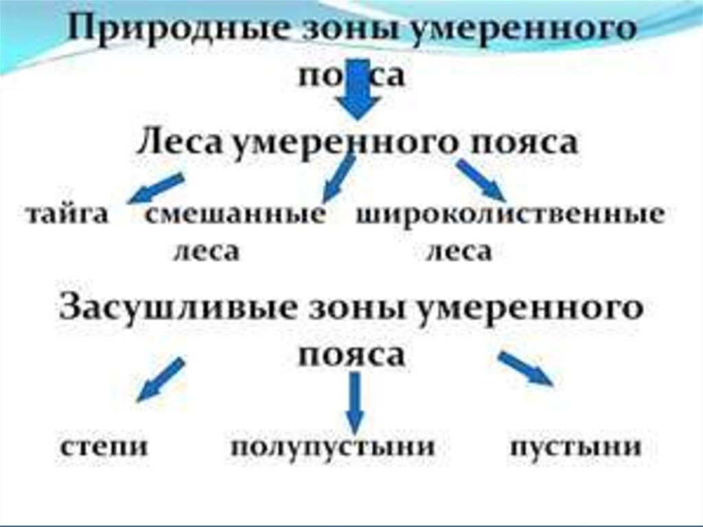 Умеренный пояс какая природная зона. Леса умеренного климата таблица. Зоны умеренного пояса. Природные зоны умеренного пояса. Природные зоны умеренного климата.