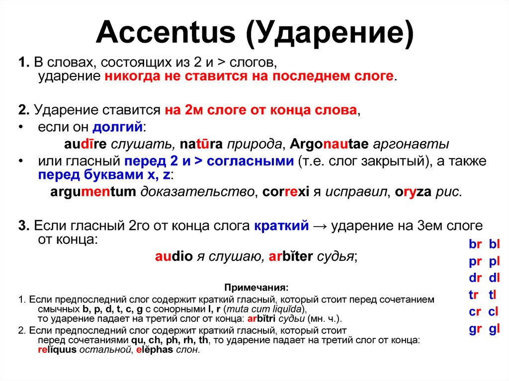 Accentus (Ударение)