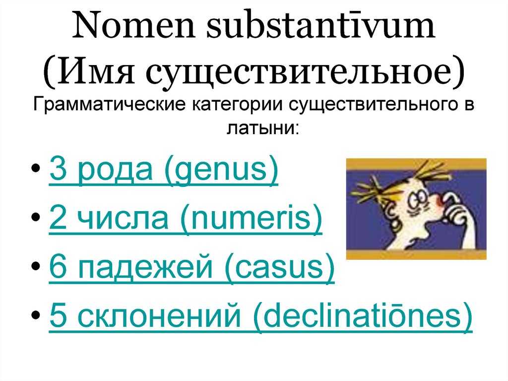 Nomen substantīvum (Имя существительное)