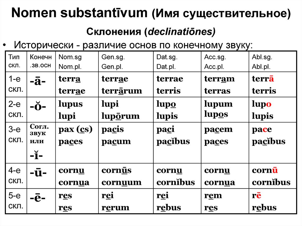 Шпаргалка: Consecutio tempOrum правило последовательности времен латинский