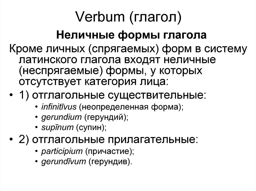Verbum (глагол)