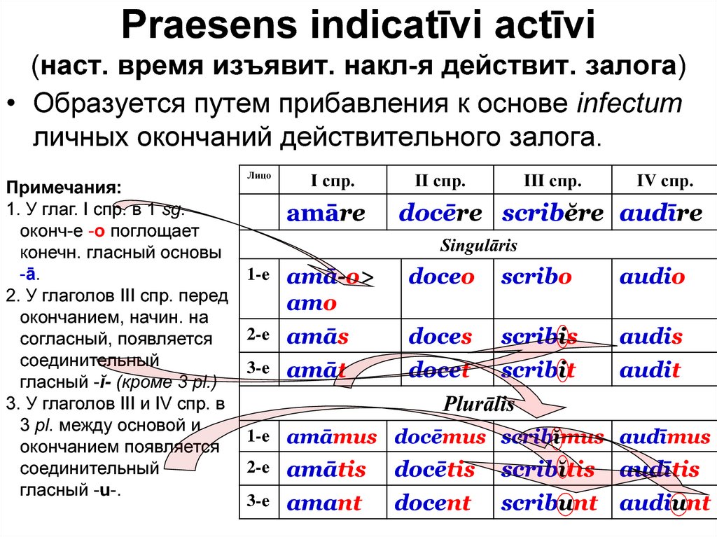 Praesens indicatīvi actīvi (наст. время изъявит. накл-я действит. залога)