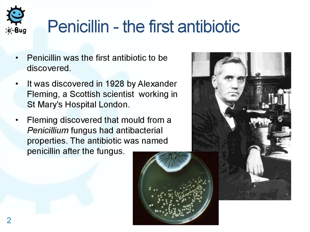 Discovery And Development Of Antibiotics Online Presentation