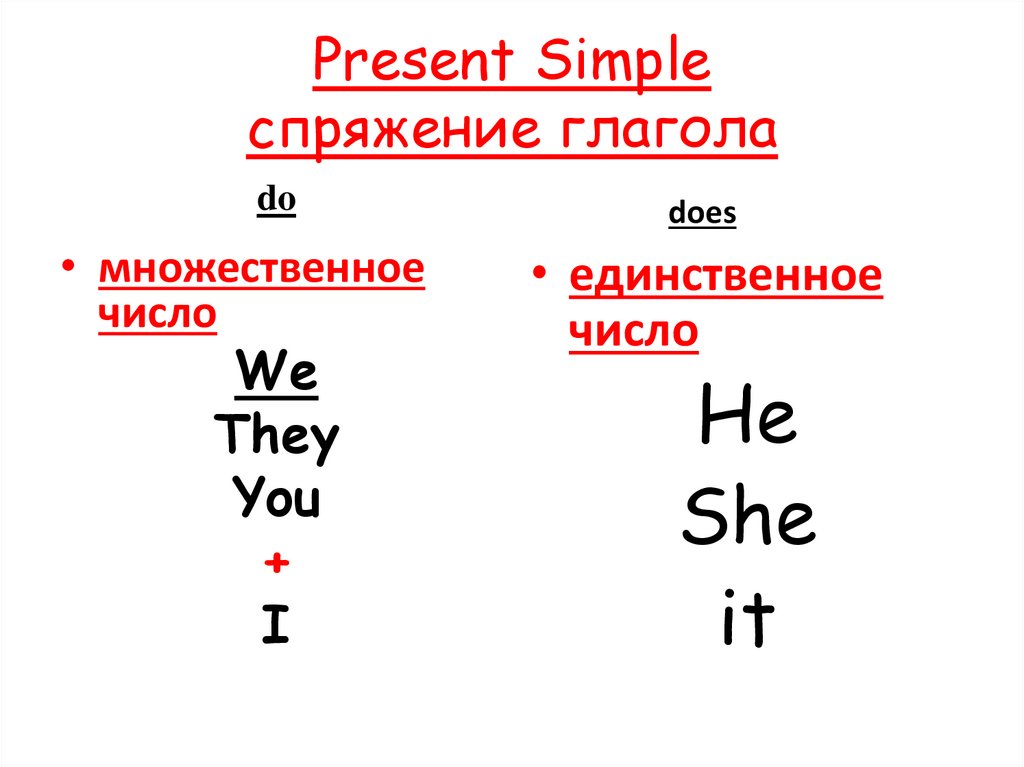 Present Simple спряжение глагола