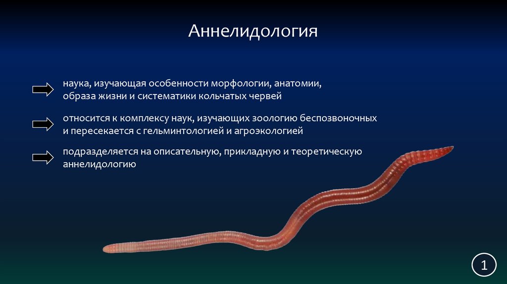 Специалист изучающий морфологию анатомию географическое распространение водорослей