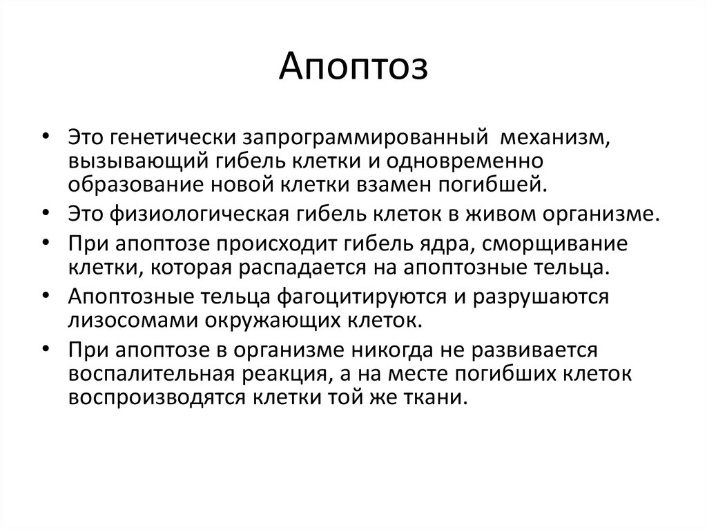 Апоптоз это. Апоптоз клетки кратко. Понятие апоптоз. Апоптоз это кратко. Апоптоз биологические процессы.