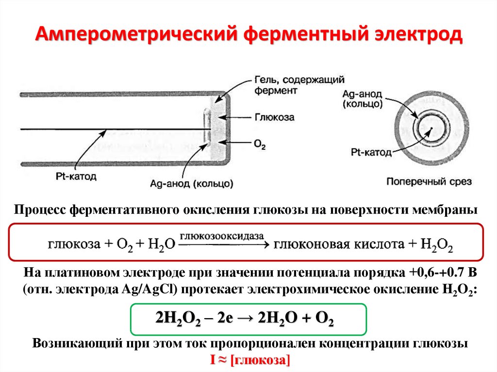 Индикаторные электроды и электроды сравнения