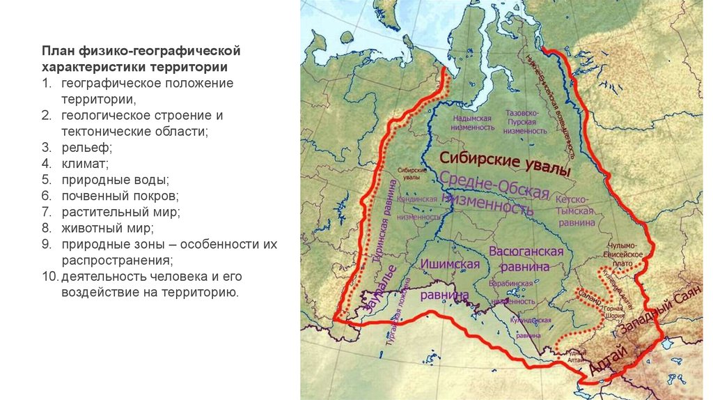 План описания природного района западно сибирская равнина 8 класс по пунктам домогацких