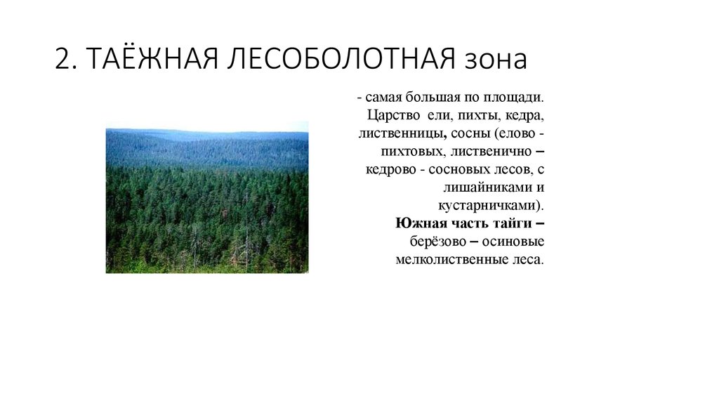 Природные зоны сибирской равнины 8 класс