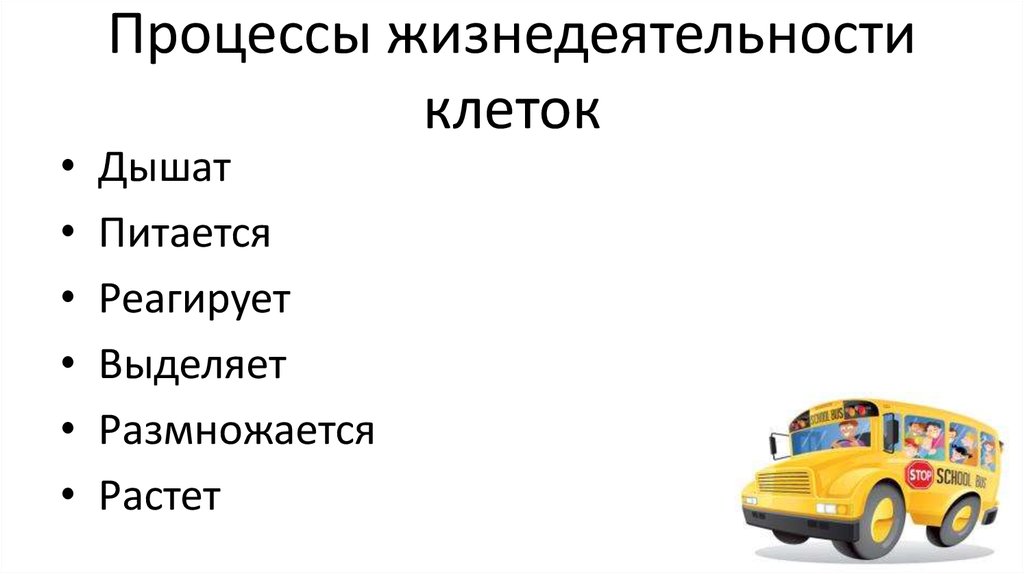 Процессы жизнедеятельности клеток