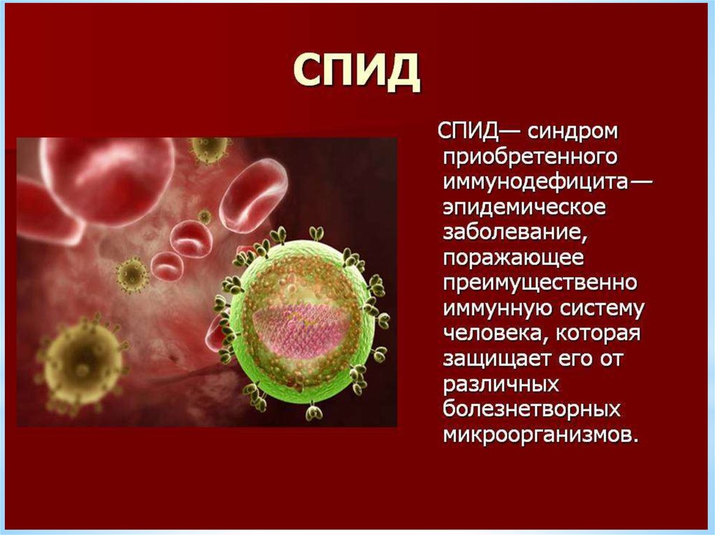 Спид проект по биологии