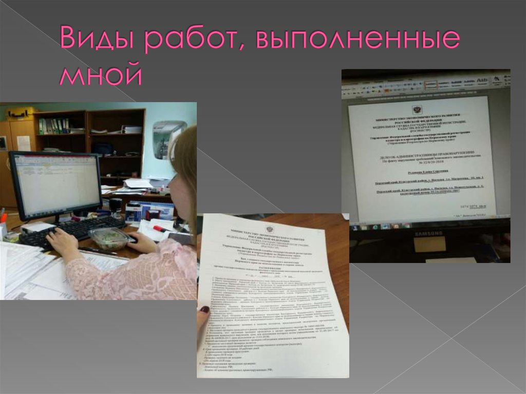 Виды работ, выполненные мной