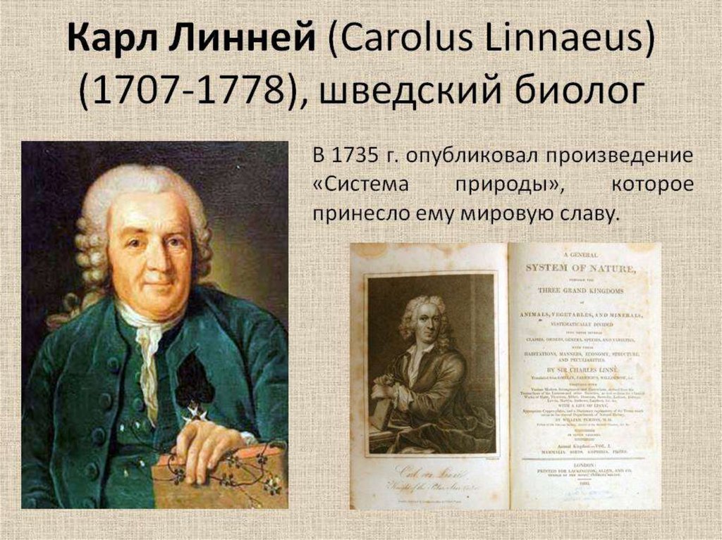 Опубликованные произведения. • Карл Линней (1707-1778), шведский натуралист. Карл Линней 1735. К.Линней - (1707-1778). Линней (Линнеус) Карл (1707–1778 гг.).