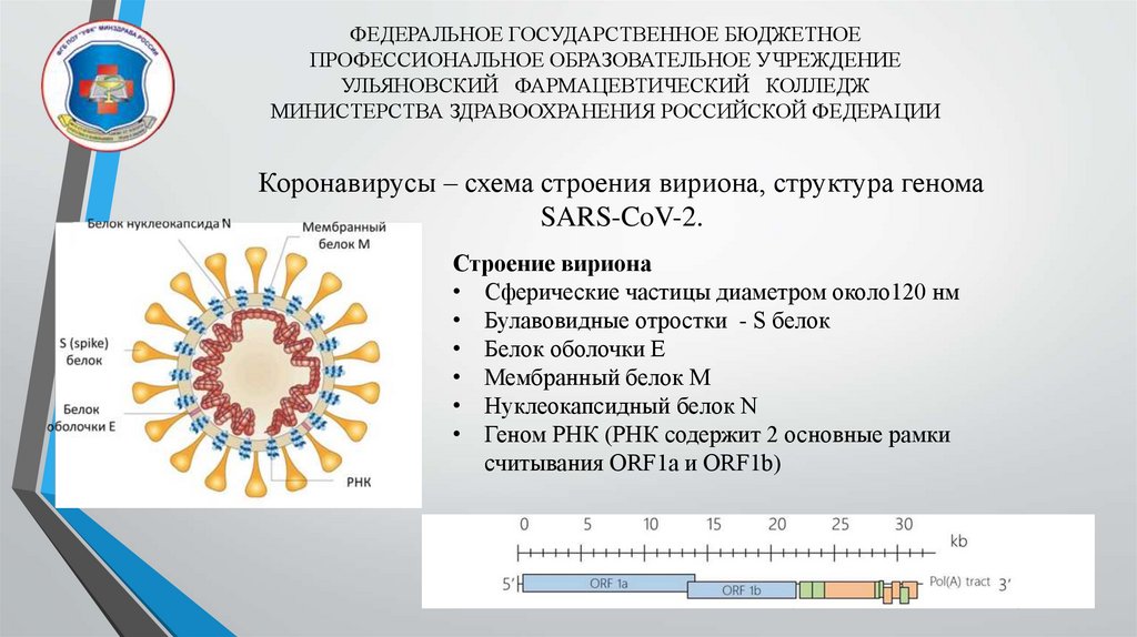 Названия ковид 19