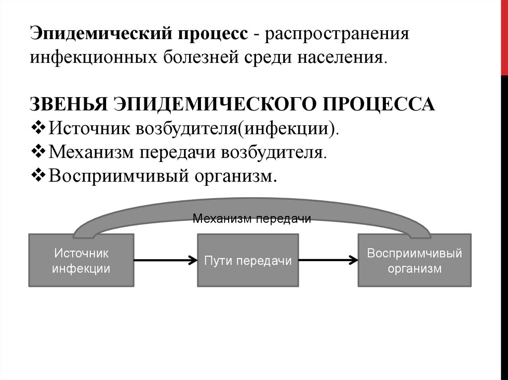 3 звена эпидемического процесса