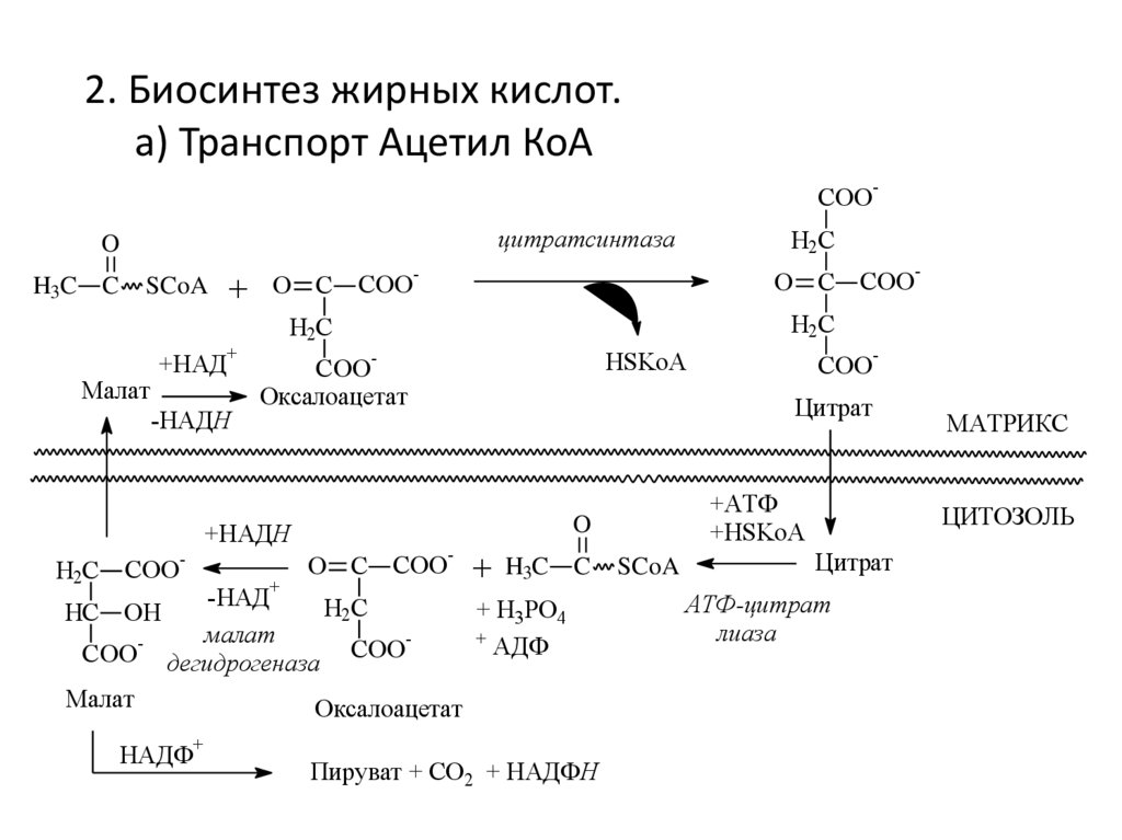 Схема окисления глицерола