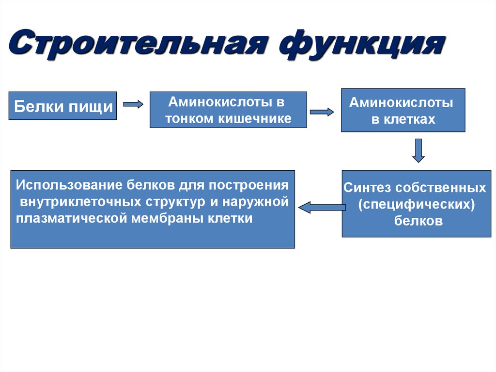 Функции строительства