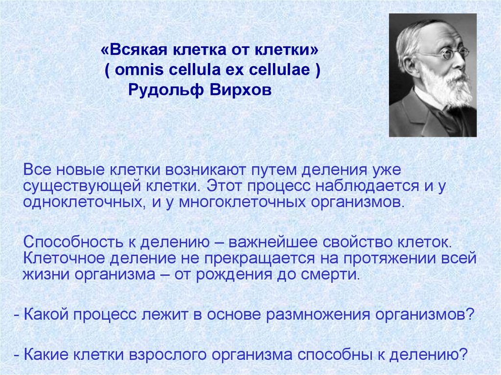«Всякая клетка от клетки» ( omnis cellula ex cellulae ) Рудольф Вирхов