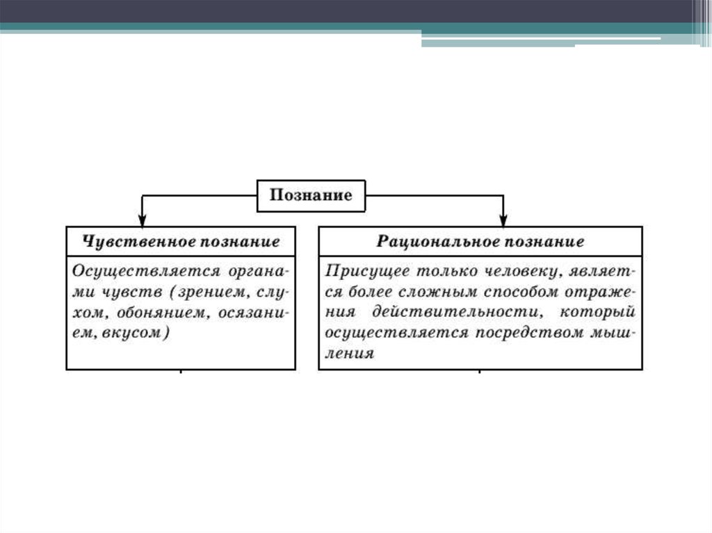 Виды знаний факт