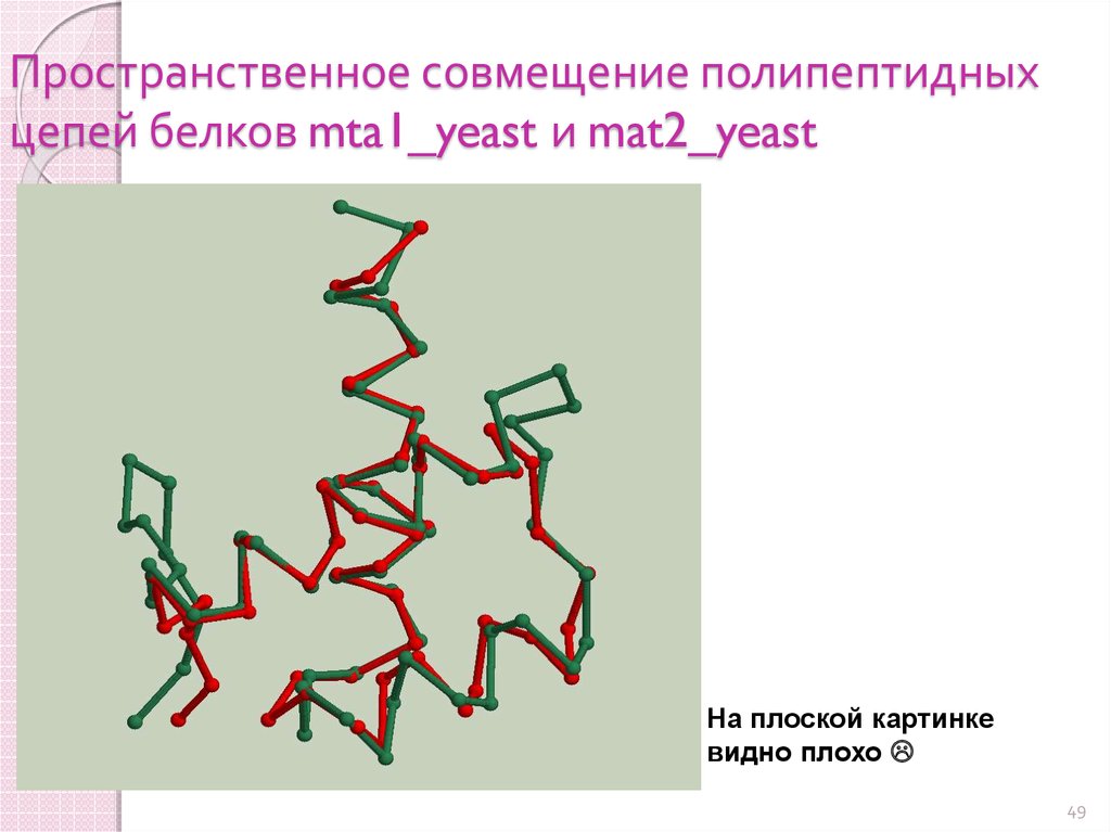 Полипептидная цепь белка. Полипептидная цепь рисунок. Полипептидная цепь рисунок 1.