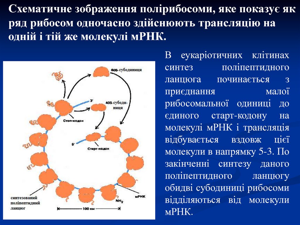 Что такое синтез