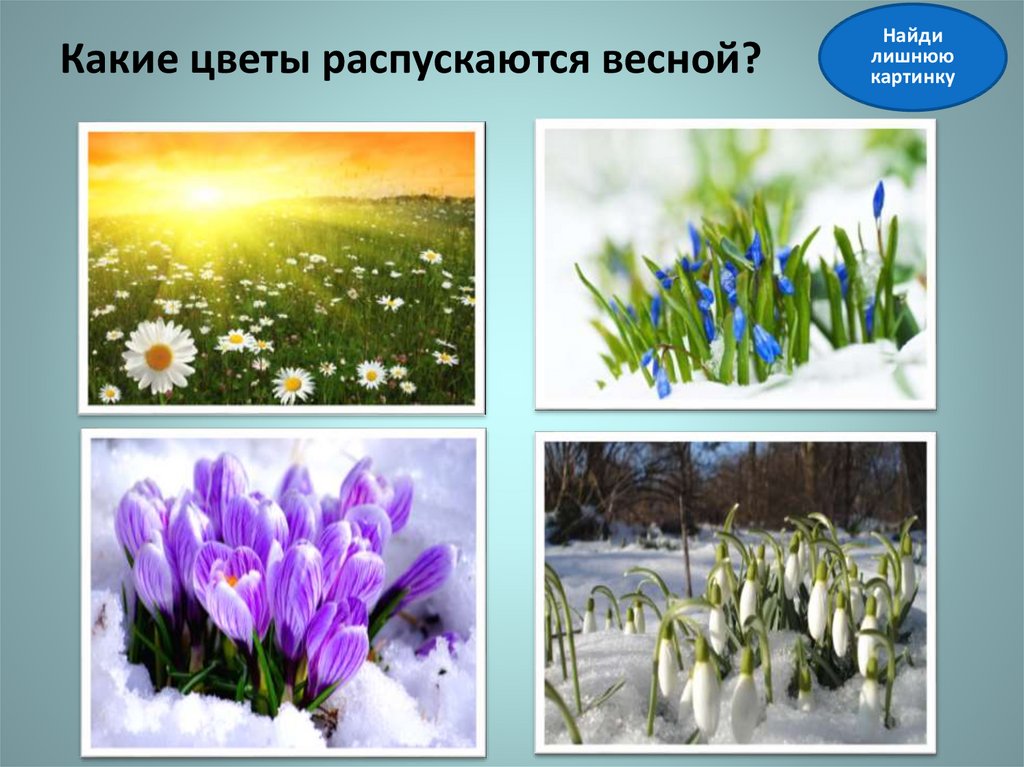 Что ты знаешь о весне? - online presentation
