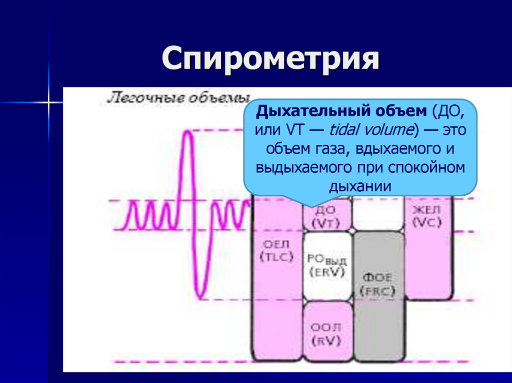 Спирометрия что это. Спирометрия. Динамическая спирометрия. Легочные объемы при спирометрии. Спирометр и дыхательные объемы.