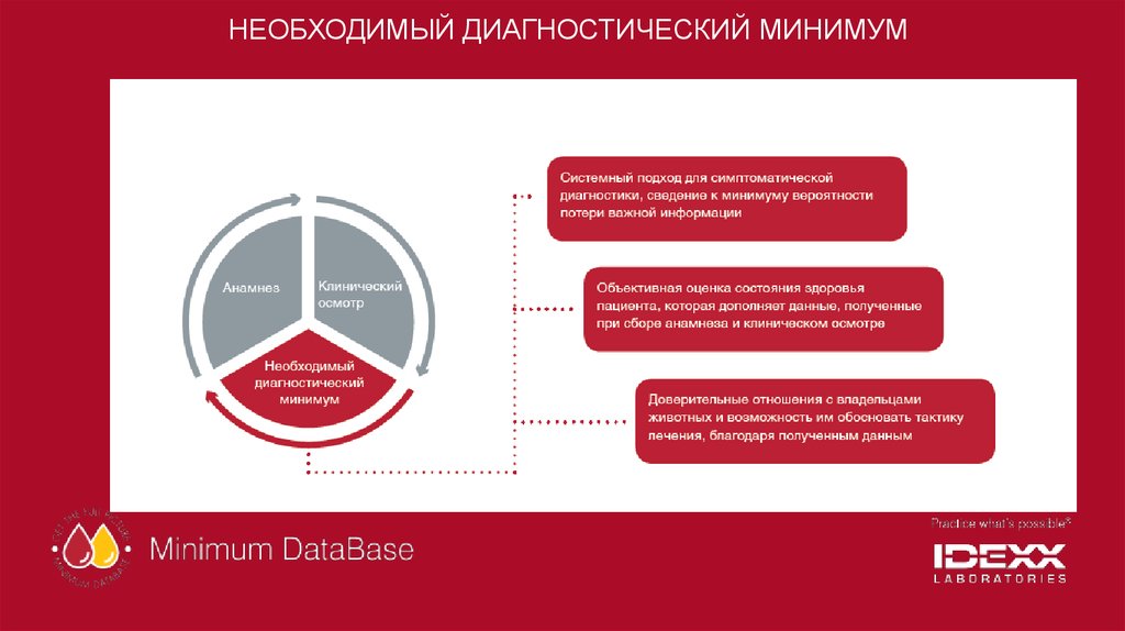НЕОБХОДИМЫЙ ДИАГНОСТИЧЕСКИЙ МИНИМУМ
