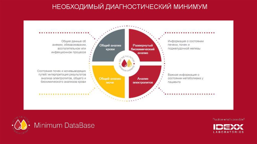 НЕОБХОДИМЫЙ ДИАГНОСТИЧЕСКИЙ МИНИМУМ