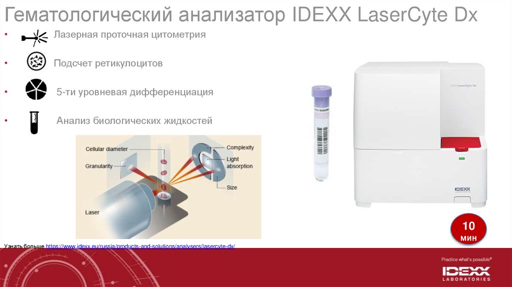 Анализатор анализов. Анализатор гематологический схема Проточная цитометрия. Проточная цитометрия на гематологическом анализаторе. Гематологический анализатор IDEXX LASERCYTE DX. Устройство гематологического анализатора.