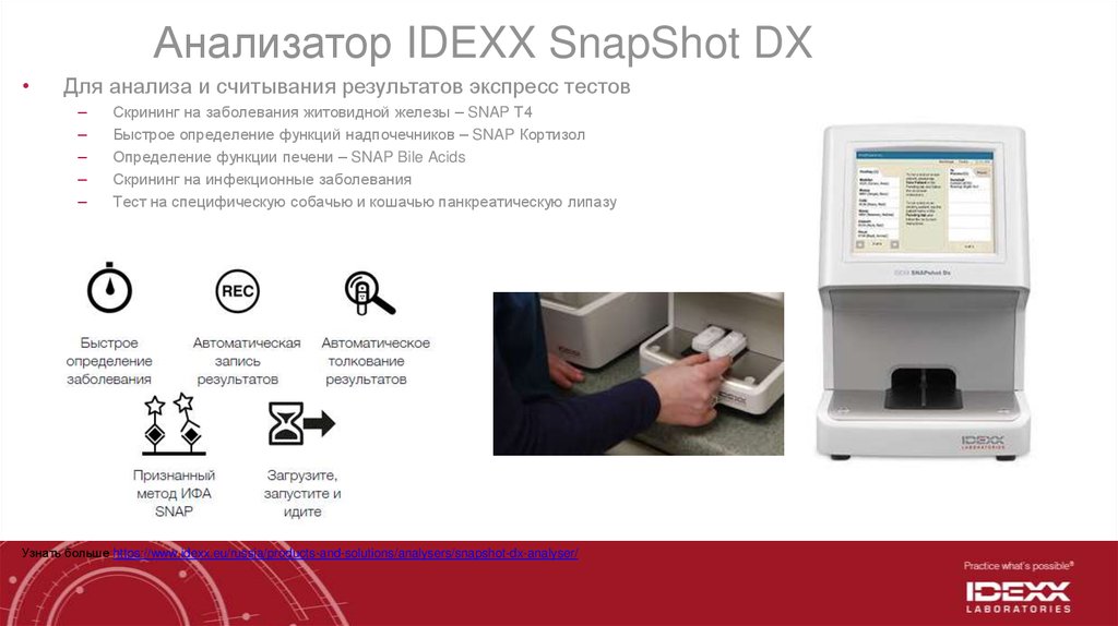 Анализаторы для иммунохроматографических тестов. Анализатор IDEXX. Биохимические экспресс анализаторы крови. Тест Айдекс. Биохимия IDEXX.