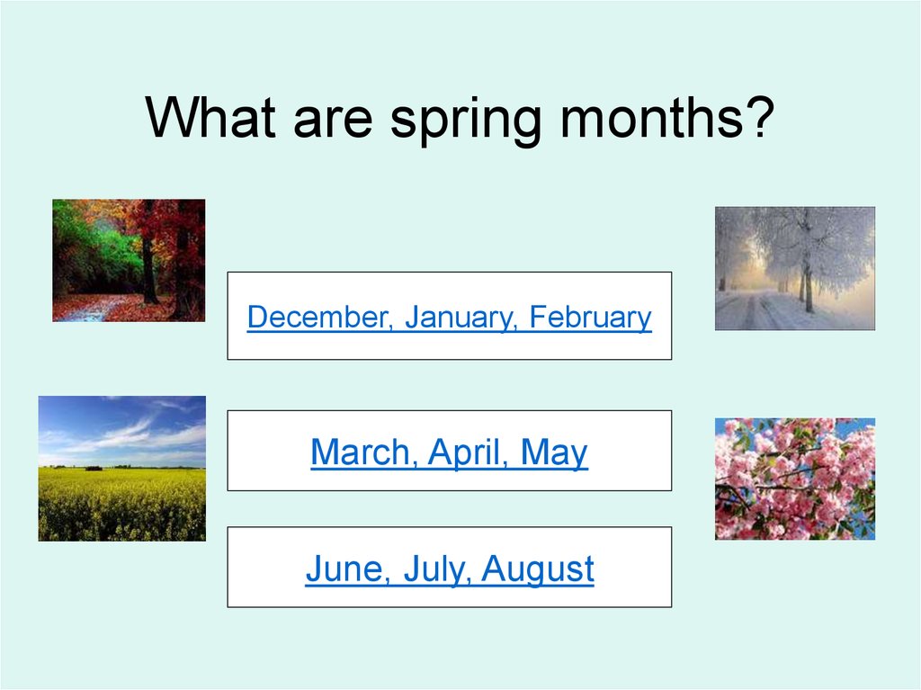 Seasons. Month names - online presentation