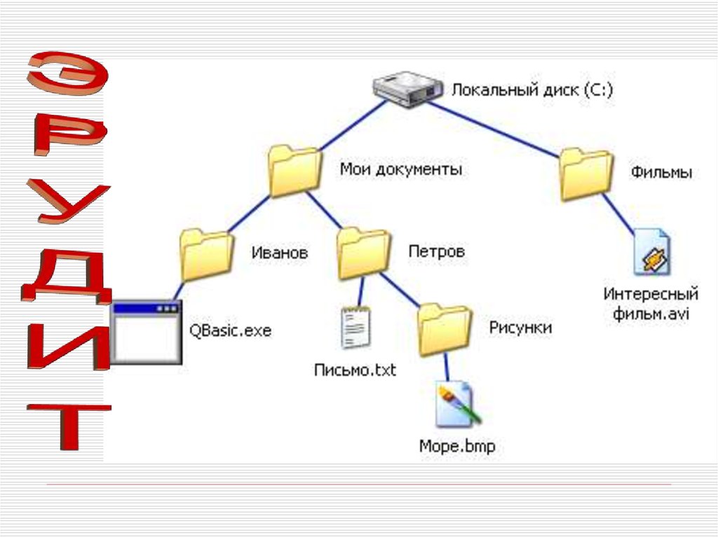 Какое расширение имеют текстовые файлы