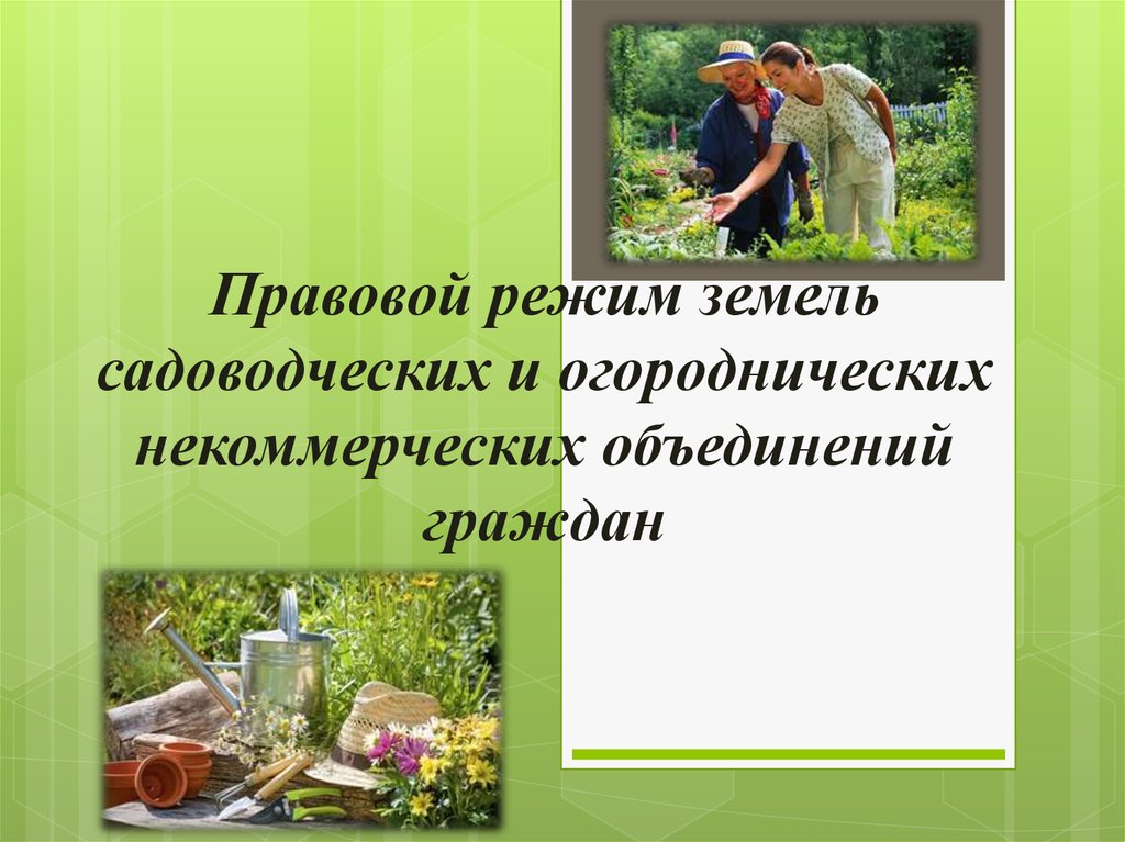 Садоводческие огороднические и дачные некоммерческие объединения. Правовой режим земель садоводческих огороднических. Садоводческие объединения граждан. Правовой режим земель предоставленных для садоводства. Формы садоводческих и дачных объединений.