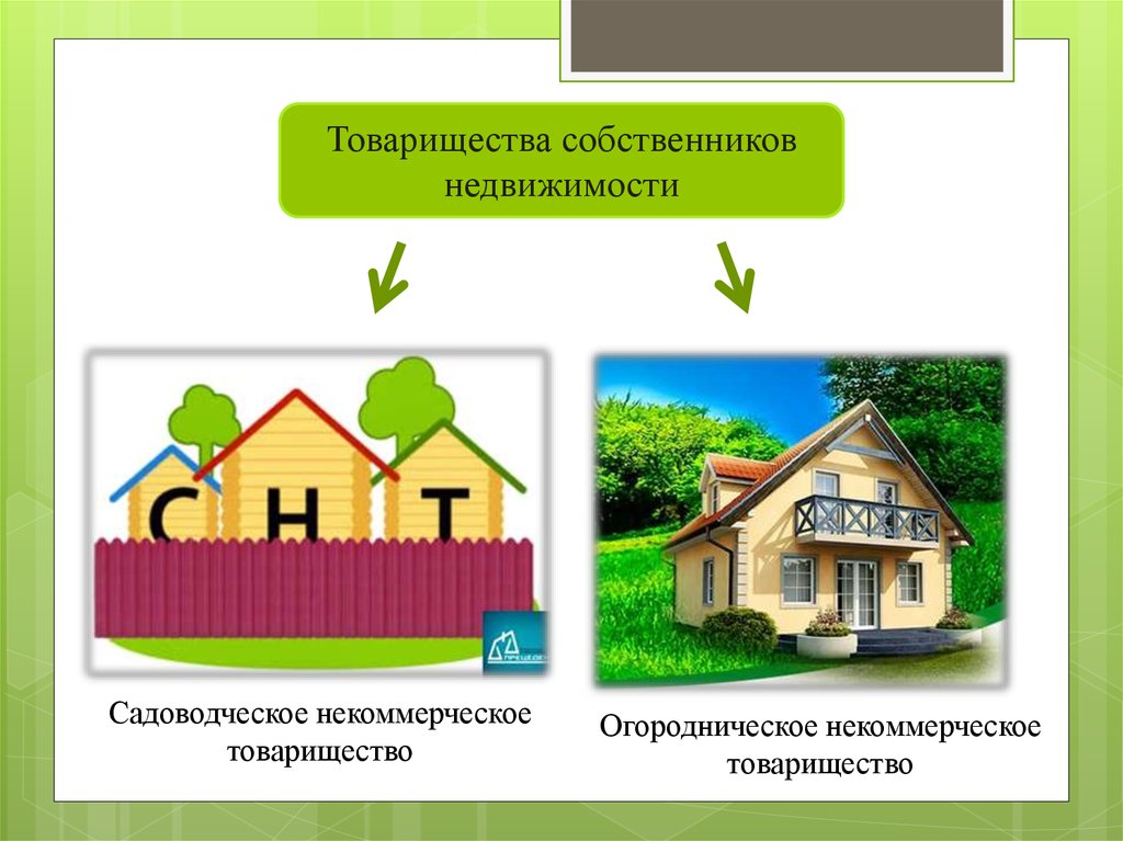 Огороднические объединения. Садоводческие и огороднические некоммерческие товарищества. ТСН товарищество собственников недвижимости. Имущество товарищества собственников недвижимости. Товарищество собственников недвижимости слайды.