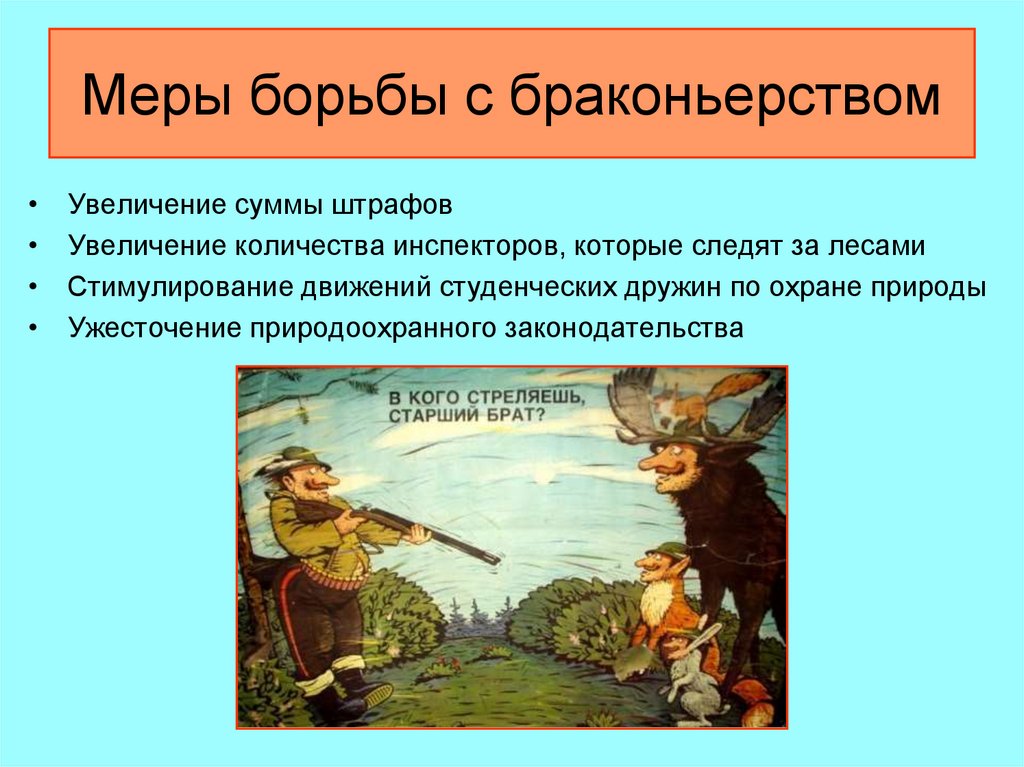 Предложены меры. Меры борьбы с браконьерством. Пути решения браконьерства. Способы решения проблемы браконьерства. КПК ЬАРОТЬСЯ С браконлнрством.