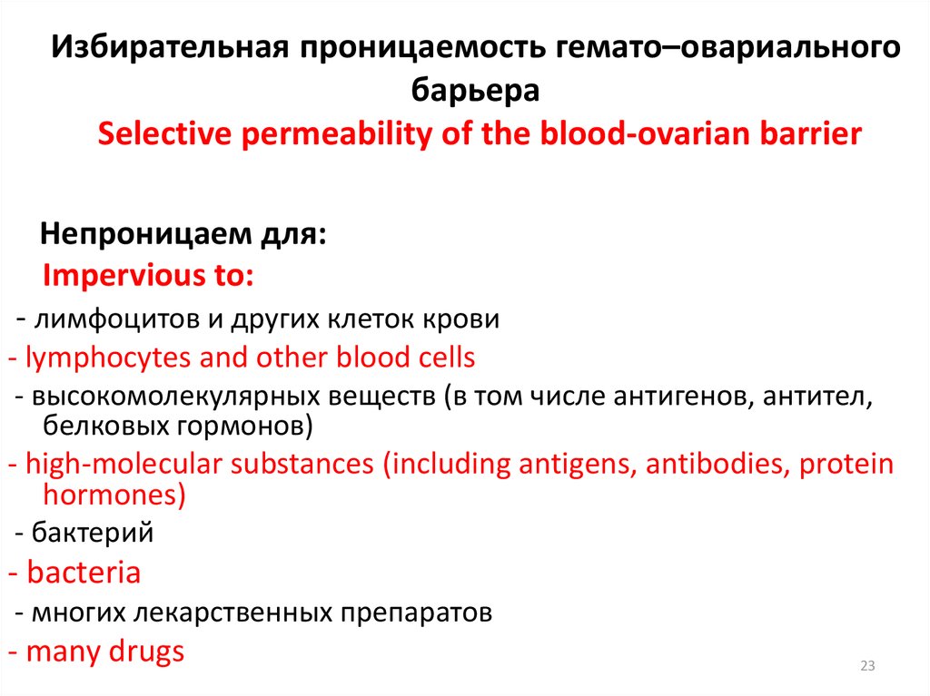 Избирательная проницаемость гемато–овариального барьера Selective permeability of the blood-ovarian barrier