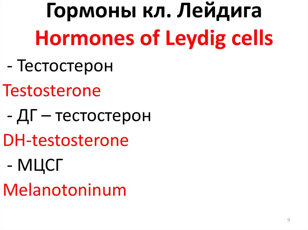 Гормоны кл. Лейдига Hormones of Leydig cells