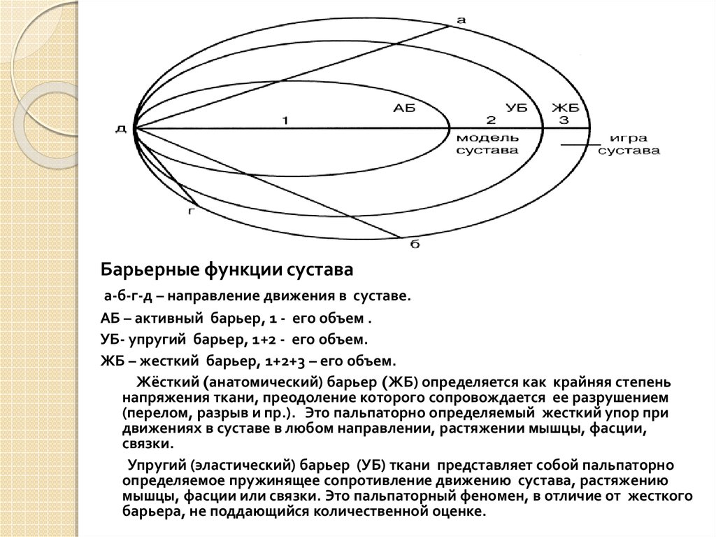 Ткань барьерной функции. Схема барьерных функций. Метод барьерных функций график. Барьерные свойства. Гипомобильность двигательного сегмента.