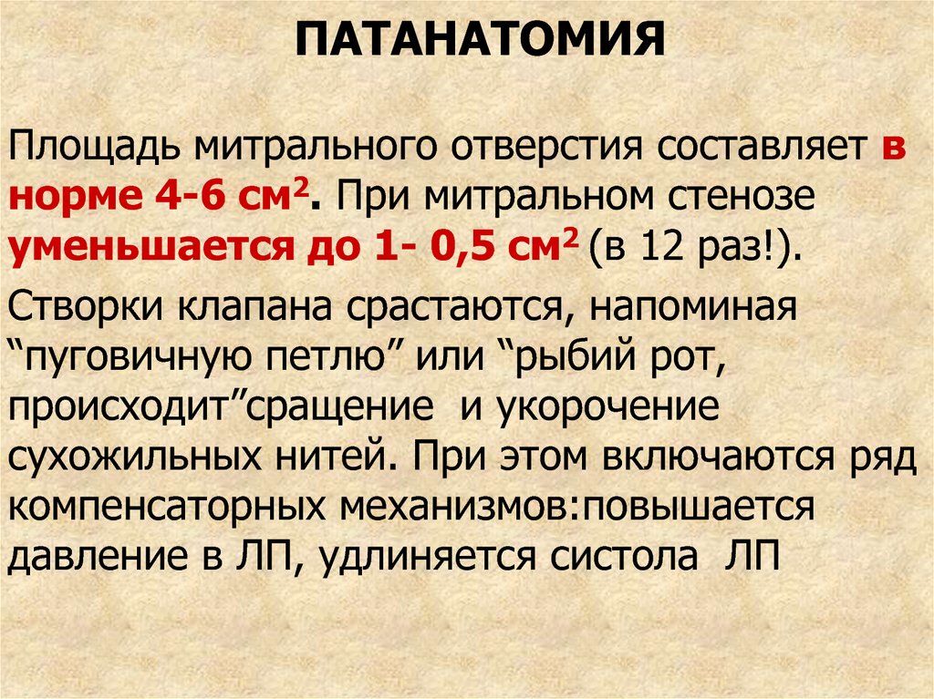 Коклюш патанатомия презентация