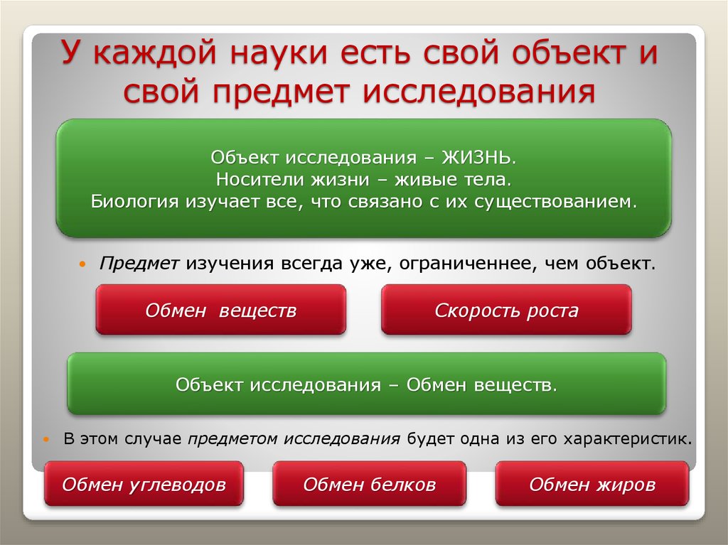 Объект и предмет исследования в проекте по технологии