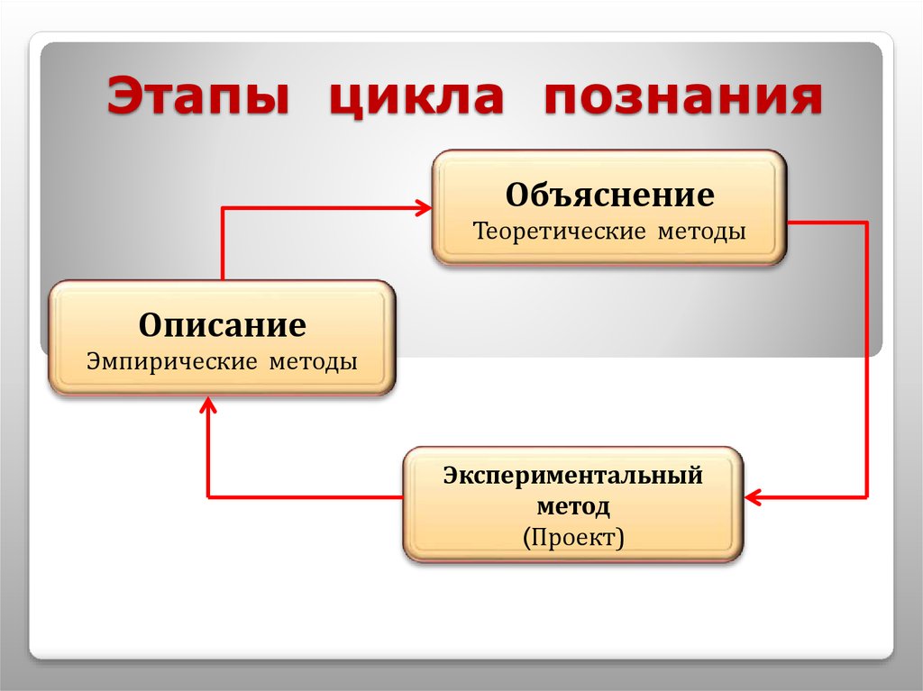 Этапы научного знания