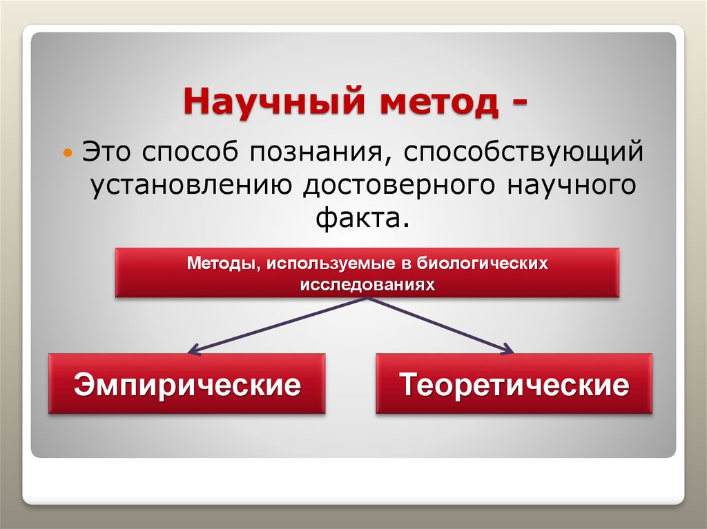 4 научных метода. Научный метод. Определение научного метода. Презентация научные методы. Научный метод это в философии.