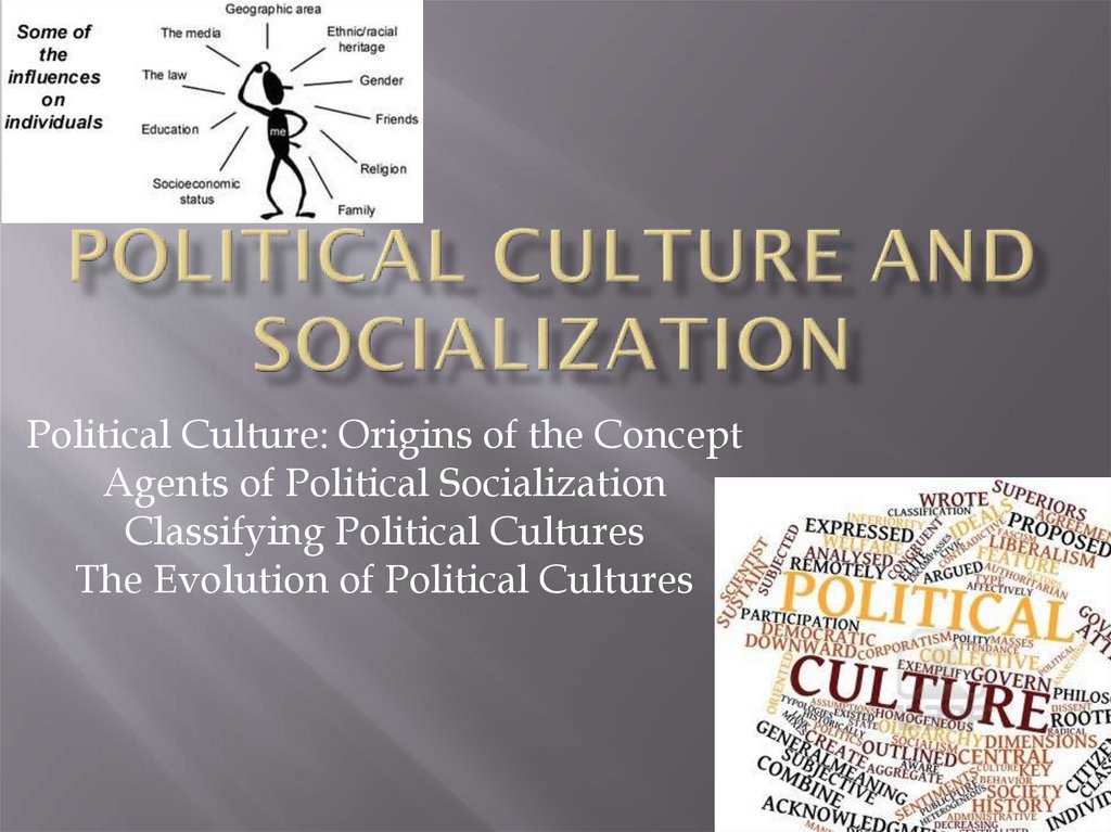 Political culture and socialization