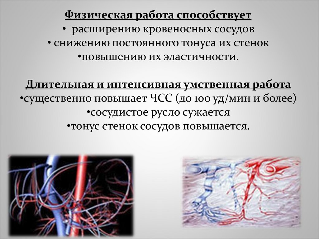 Способствует расширению